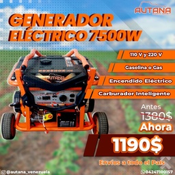 Generador eléctrico Marca AUTANA 7500w